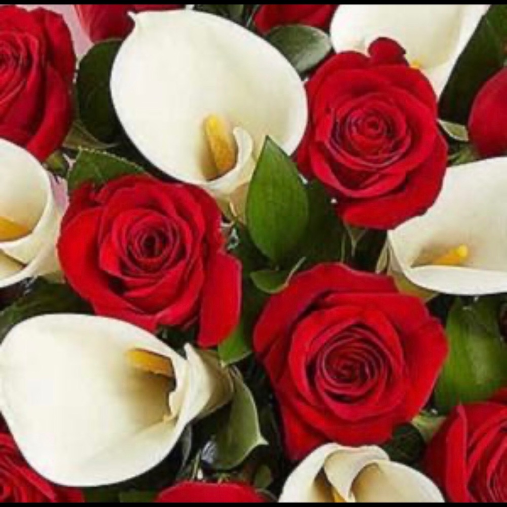 Meet Posh Ambassador Cindy!